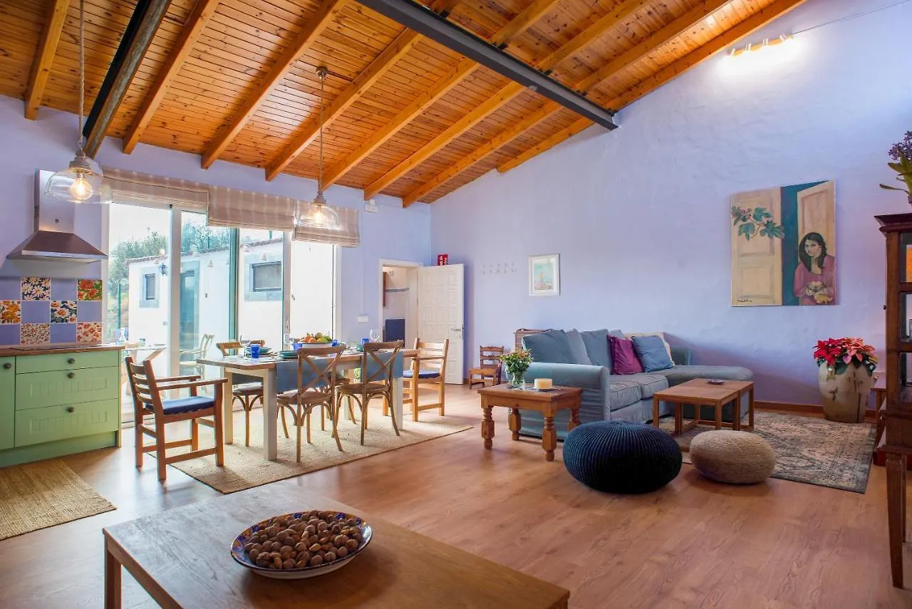 La Lavanda Vega de San Mateo Tatil Evi