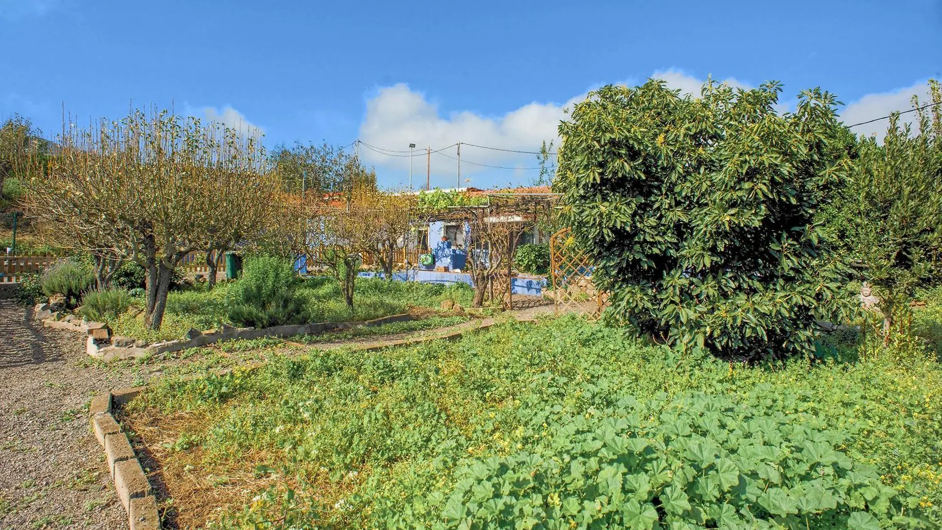 La Lavanda Vega de San Mateo Holiday home