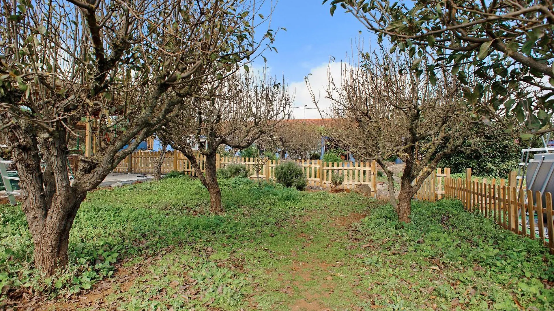 Holiday home La Lavanda Vega de San Mateo Spain